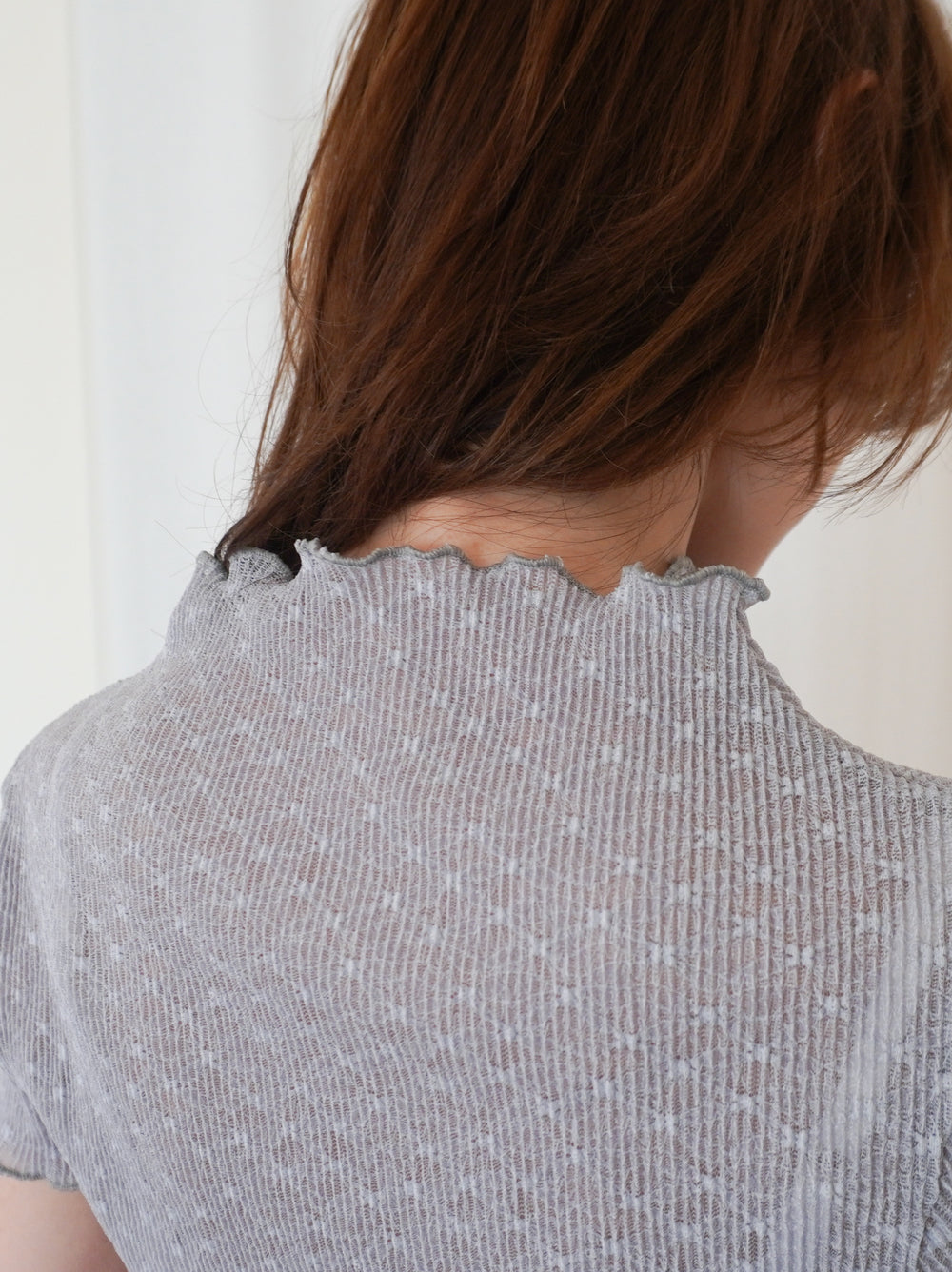 Puff textured sheer メロウハイネックトップス