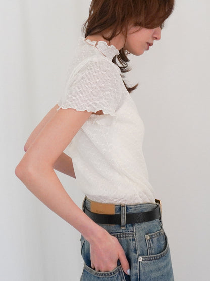 Puff textured sheer メロウハイネックトップス